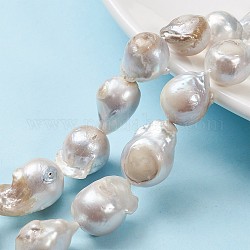 Hebras de perlas keshi de perlas barrocas naturales, perla cultivada de agua dulce, pepitas, blanco cremoso, 13~22x13~27x13 · 16 mm, agujero: 0.5 mm, aproximamente 20 pcs / cadena, 15.3 pulgada