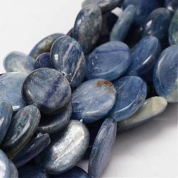 Oval Natural Kyanite/Cyanite/Disthene Bead Strands, 20x15x4mm, Hole: 1mm, about 21pcs/strand, 15.7 inch