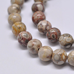 Chapelets de perles maifanite/maifan naturel pierre , ronde, 4mm, Trou: 1mm, Environ 90 pcs/chapelet, 15.1 pouces