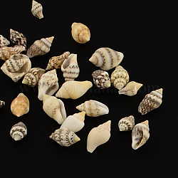 Perles de coquillage en spirale naturelle, sans trou, mousseline de citron, 7~12x3~7x3~7mm, environ 3875 pcs/500 g