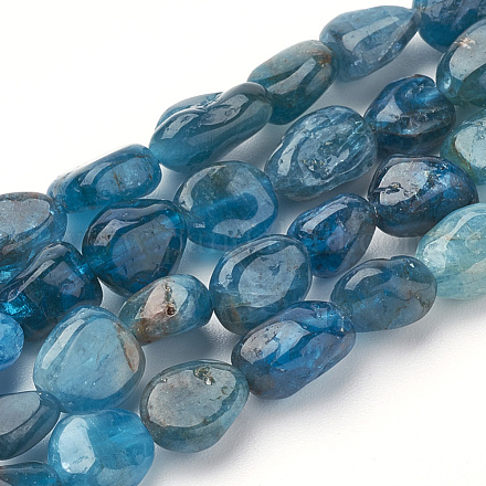 Natural Apatite Beads Strands X-G-T064-27-1