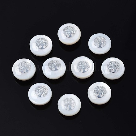 Perles de coquillages naturels d'eau douce SHEL-N003-22-17P-1