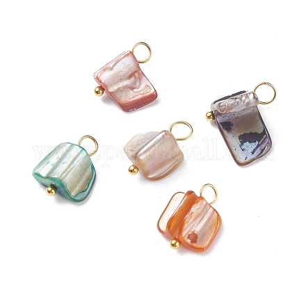 Natural Dyed Shell Charms PALLOY-JF01339-1