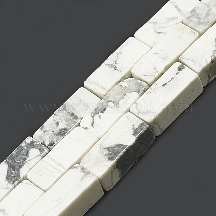 Natural Howlite Beads Strands G-S300-68-8x20mm-1