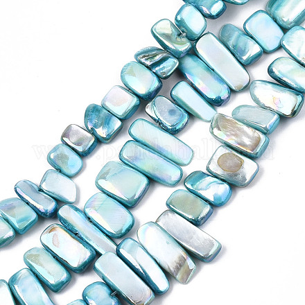 Eau douce naturelle de coquillage perles brins SHEL-N026-123F-1
