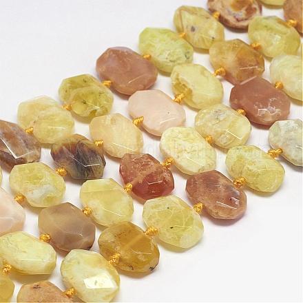 Natural Yellow Opal Beads Strands G-P186-03-1