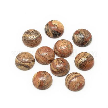 Natural Picture Jasper Cabochons G-R416-8mm-42-1
