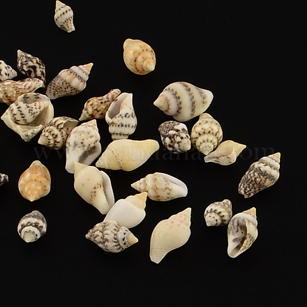 Perles de coquillage en spirale naturelle SSHEL-R036-16-1