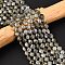 Natural Labradorite Beads Strands, with Seed Beads, Faceted Coin Beads, Flat Round, 6~6.5x4mm, Hole: 1mm, about 50pcs/strand, 15.35''(39cm)