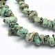 Natural African Turquoise Beads Strands G-P332-24A-2