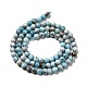 Chapelets de perles en pierre gemme naturelle G-F730-02A-3