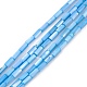 Natural Freshwater Shell Dyed Beads Strands SHEL-M018-11-06-1