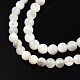 Fili di perline di conchiglia bianco naturale SSHEL-N003-144C-01-3