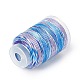 3-Ply Segment Dyed Nylon Thread Cord NWIR-F011-01I-2