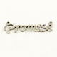 Fashionable Stainless Steel Word Charms STAS-R059-40-1