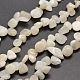 Brins blancs naturels de perles de puces pierre de lune G-M204-31-1