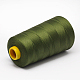 Fil à coudre 100% fibre de polyester filée OCOR-O004-A41-2