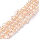 Natural Cultured Freshwater Pearl Beads Strands PEAR-P002-53D-4