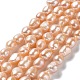 Fili di perle di perle d'acqua dolce coltivate naturali PEAR-Z002-23-1
