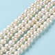 Natural Cultured Freshwater Pearl Beads Strands PEAR-E018-72-2