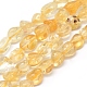 Chapelets de perles de citrine naturelle G-P331-03A-1