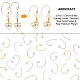 ARRICRAFT 32Pcs 2 Colors Brass Earring Hooks FIND-AR0001-58-4