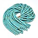 Flat Round/Disc Synthetic Turquoise Beads Strands G-N0140-13-8x3mm-2