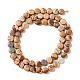 Chapelets de perles en jaspe avec images naturelles G-D0003-A89-3
