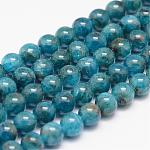 Apatite naturelle chapelets de perles, ronde, 6mm, Trou: 0.8~1mm, Environ 66 pcs/chapelet, 15.7 pouce