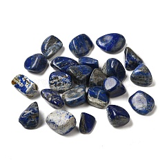 Perles en lapis-lazuli naturel, sans trou, pépites, pierre roulée, gemmes de remplissage de vase, 15~25x17~25x12~16mm, environ 123 pcs/1000 g