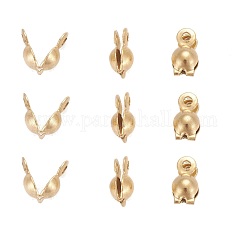 Puntas de acero inoxidable 304 con recubrimiento iónico (IP), termina la calota, cubierta de nudo de concha, dorado, 8x4mm, agujero: 1 mm