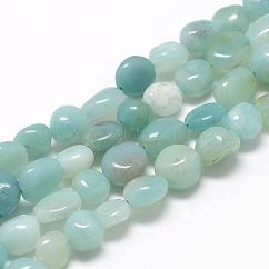 Chapelets de perles en amazonite naturelle, pépites, 8~15x7~12x4~12mm, Trou: 1mm, Environ 30~45 pcs/chapelet, 15.7 pouce