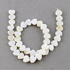 Hebras naturales de cuentas de concha de agua dulce, corazón, blanco cremoso, 10x10~11x3mm, agujero: 0.8~0.9 mm, aproximamente 40 pcs / cadena, 14.1 pulgada