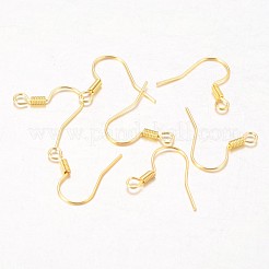 Ganci orecchino di Ferro&nbsp;X-E133-G