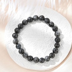 Natürliche Larvikit-Perlen-Stretch-Armbänder&nbsp;BJEW-F380-01-B14