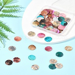 56 Stück 5 Farben sprühlackierte natürliche Akoya-Muschel-Anhänger&nbsp;SHEL-FS0001-09