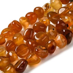 Filo di perline di agata naturale&nbsp;G-H295-B01-09