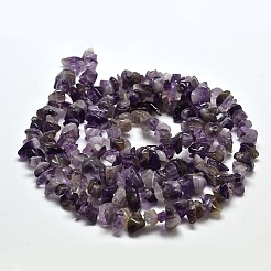 Chip natürlichen Amethyst Perlen Stränge&nbsp;X-G-N0134-19