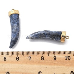 Natürliche Sodalith-Horn-Anhänger&nbsp;STAS-R130-03G-01