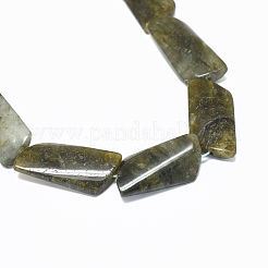 Perline labradorite naturale fili&nbsp;G-F632-02