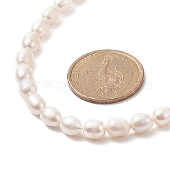 Collana di perle naturali con chiusura in acciaio inossidabile 304 per donna&nbsp;NJEW-JN04143