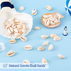 Cuentas de concha de cowrie natural&nbsp;BSHE-TA0001-01