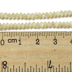 Natürliche Trochus-Muschel-Unterlegscheibe-Perlenstränge&nbsp;SSHEL-H072-01A