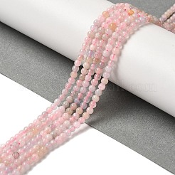 Naturperlen Stränge morganite&nbsp;G-B090-A24-03