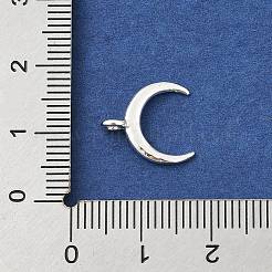 Messing Anhänger & Charms&nbsp;KK-P297-03A-S