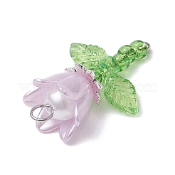 Perle acriliche e perle di imitazione in plastica e pendenti di perline di semi giapponesi&nbsp;PALLOY-JF03826-01