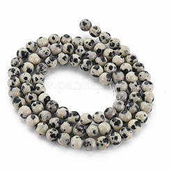 Natur Dalmatiner Jaspis Perle Stränge&nbsp;G-R345-4mm-51-01