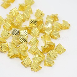 Eisenband Crimp-Enden&nbsp;E004Y-G