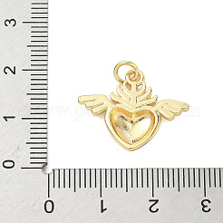 Messing Anhänger & Charms&nbsp;KK-K368-08A-G