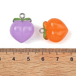 Pendentifs en résine&nbsp;RE-T003-01